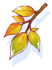 Golden Leaf