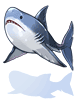 Shark