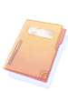 File Folder