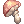 Star Shape Mushroom